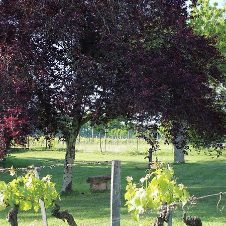 La Vigneraie De Laura Bed & Breakfast Sainte-Colombe  Luaran gambar